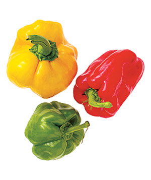 EgyptianColorPepper