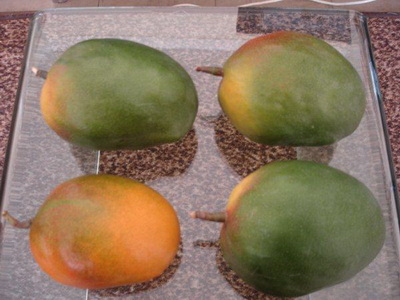 Egyptian Mango
